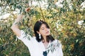 Stylish boho girl with modern earrings posing among green olive branches in soft evening light. Happy young fashionable woman Royalty Free Stock Photo