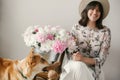 Stylish boho girl sitting at metal bucket with peonies on rustic wooden chair and playing with cute golden dog.Beautiful hipster Royalty Free Stock Photo