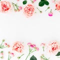 Stylish border frame made of pink roses, buds and petals on white background. Floral pattern. Flat lay, Top view. Royalty Free Stock Photo