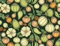 Seeds and pods botanical seamless pattern, Stylish botanical pattern with squash, flowers, and leaves on dark green background Royalty Free Stock Photo