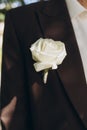 stylish boutonniere on the groom's jacket, wedding day, beautiful flower boutonniere, wedding concept Royalty Free Stock Photo