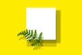 Stylish branding mockup. Mock up on yellow background with green plant branch of fern