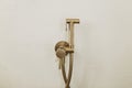 Stylish brass bidet shower on wall, modern bathroom design detail close up.Handle water sprayer, bathroom interior element.