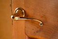 Stylish brass door handle