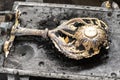 Stylish brass flower with branches molded in form at plant