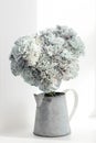 The Stylish bridal bouquet carnations colored in green in a tin pitcher on the window