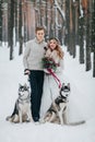 Stylish bride and groom with two siberian husky are posed on background of snowy forest. Artwork Royalty Free Stock Photo