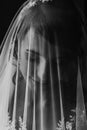 Stylish bride portrait under veil. sensual beauty, luxury beautiful wedding dress. rustic wedding morning preparation. bridal Royalty Free Stock Photo