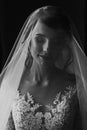 Stylish bride portrait under veil. sensual beauty, luxury beautiful wedding dress. rustic wedding morning preparation. bridal Royalty Free Stock Photo