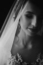 Stylish bride portrait under veil. sensual beauty, luxury beautiful wedding dress. rustic wedding morning preparation. bridal Royalty Free Stock Photo