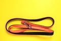 Stylish, bright and comfortable nylon black and orange leash from pet shop for obedient dog, cat or other pets and domestic