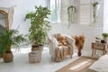 Stylish bright loft cozy living room with armchair, green plants, jalousie, white brick walls and wooden floor