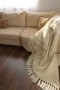 Top view of stylish brightly part of living room with old vintage suitcase and potted plant on luxury wooden floor