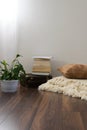 Stylish brightly part of living room with old vintage suitcase, books, potted plant and woolen handmade blanket