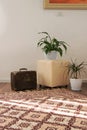 Stylish brightly part of living room with old vintage suitcase and potted plants, traditional handmade carpet