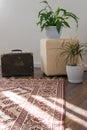 Stylish brightly part of living room with old vintage suitcase and potted plants, traditional handmade carpet