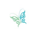 stylish butterfly ethnic logo icon