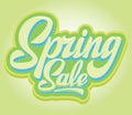 Stylish calligraphic inscription Spring Sale on the background