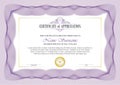 Stylish Certificate Frame with Guilloche border design