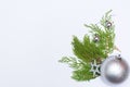 Stylish christmas composition with fir branches and decorations on white background