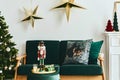 Stylish christmas living room interior with green sofa, white chimney, christmas tree and wreath, stars, gifts and decoration. Royalty Free Stock Photo