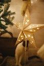 Stylish Christmas star and cute cat under tree with white baubles, boho ornaments and golden lights in atmospheric evening room.