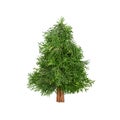 Stylish Christmas tree Minimalistic flat lay