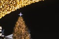 Stylish christmas tree with shiny star and golden lights illumination in sky in evening. Atmospheric magic time. Christmas festive Royalty Free Stock Photo
