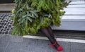 Stylish Christmas tree with woman\'s legs in black tights and red shoes sits on a white bench