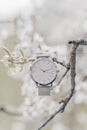 Stylish classic white watch on branch