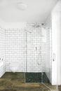 Stylish clean bathroom and shower