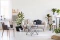 Stylish table in the middle of spacious living room interior with white sofa, urban jungle and grey chair