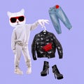 Stylish collage scene. Fashion Kitty character choose look. Ideal for fashion bloggers, Social networks, shop online, sale,