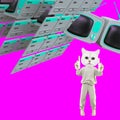 Stylish collage scene. Kitty character and computer programming space. Promotion in the Internet world concept