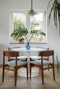 Stylish composition of dining room interior with design table, chairs, tropical leaf in vase, window and elegant decoration.