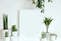 Stylish composition of home interior with white mock up poster frame and a lot of plants, cacti and suculents in classy pots. Royalty Free Stock Photo