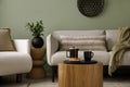 Stylish composition of living room interior with green wall, grey sofa with grey pillow. White armchair with patterned pilow,