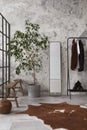 The stylish compostion at living room interior with concrete wall, hanger mirror, wooden bench and elegant personal accessories. Royalty Free Stock Photo