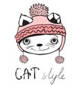 Stylish cute cat. Royalty Free Stock Photo