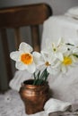 Stylish daffodils in vintage vase on old wooden chair with linen cloth. Rustic still life. Countryside moody spring flowers Royalty Free Stock Photo