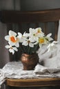 Stylish daffodils in vintage vase on old wooden chair with linen cloth. Rustic still life. Countryside moody spring flowers Royalty Free Stock Photo