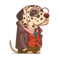 A Stylish Dalmatian, isolated vector illustration. Cute cartoon picture of a dog wearing a costume and glasses. Drawn animal