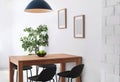 Stylish dining room interior. Home idea Royalty Free Stock Photo