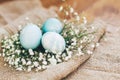 Stylish Easter eggs with spring flowers in floral nest on rustic fabric in sunny light on wood. Modern colorful eggs painted with Royalty Free Stock Photo