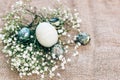 Stylish Easter eggs with spring flowers in floral nest on rustic fabric in sunny light on wood. Modern colorful eggs painted with Royalty Free Stock Photo