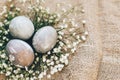 Stylish Easter eggs with spring flowers in floral nest on rustic fabric in sunny light on wood. Modern colorful eggs painted with Royalty Free Stock Photo