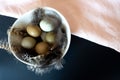 Stylish Easter festive eggs in natural color on a Black background with garlands with feathers in wihte bowl on pink