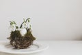Stylish Easter table setting. Natural egg with snowdrops in nest on modern plate on white wood. Modern Easter table rustic