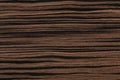 Stylish ebony veneer background in unique colors in brown tone. High quality wooden texture.