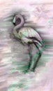 Stylish and elegant floral background.Big pink bird - Flamingos. Modern elegant design